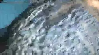 مراهقة مومس تركب زب وتأخذه في مؤخرتها